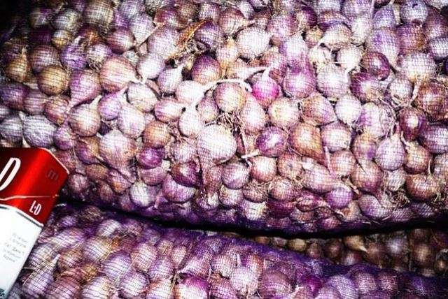 Однозубка. Посадка. Выращивание