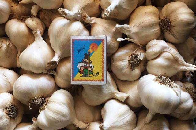 Весенняя посадка зубками