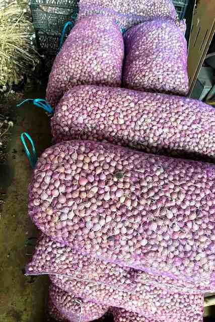 Бізнес Часник в Україні