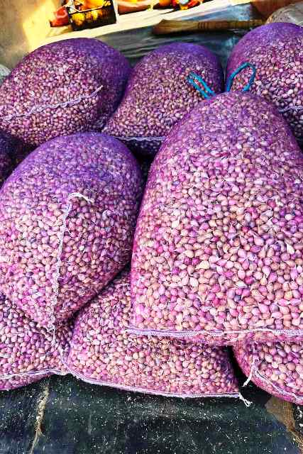 Бізнес Часник в Україні