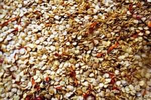 Насіння перцю