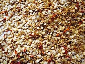 Семена острого перца