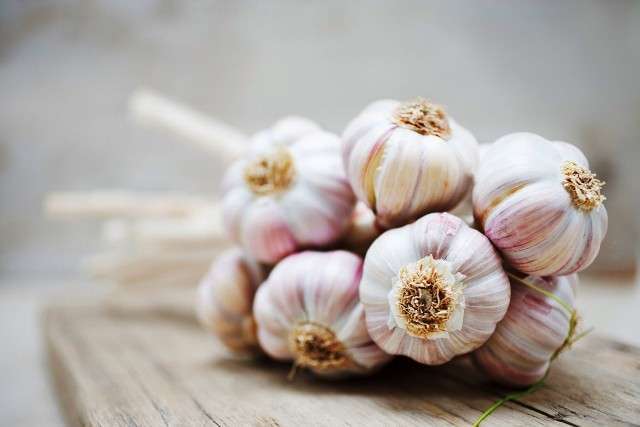 Биохимический состав чеснока