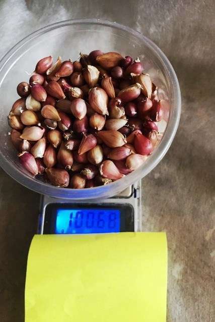 Чеснок Воздушка