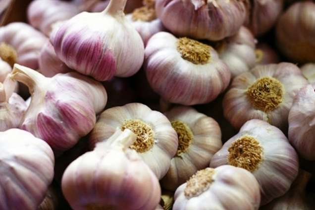 Флавор сорт чеснока - Сорта чеснока в Украине