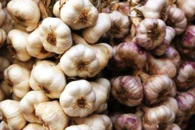 Чеснок на посадку. Семена: Воздушка, Однозубка, Чеснок