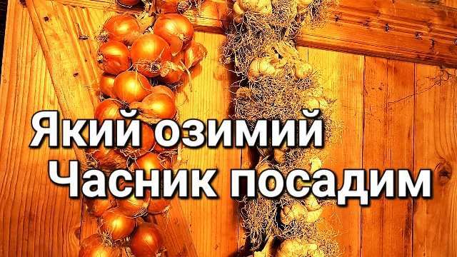 Корзинка замовлення часнику