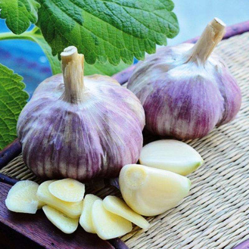 часник у медицині