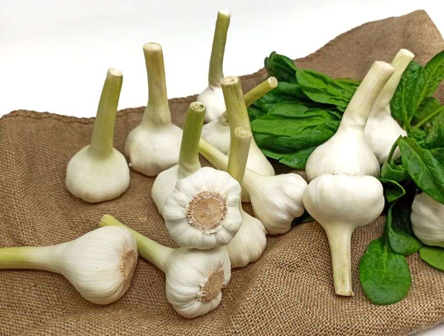 Рецепти з часником