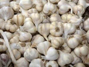 Яровий часник - Яровой чеснок